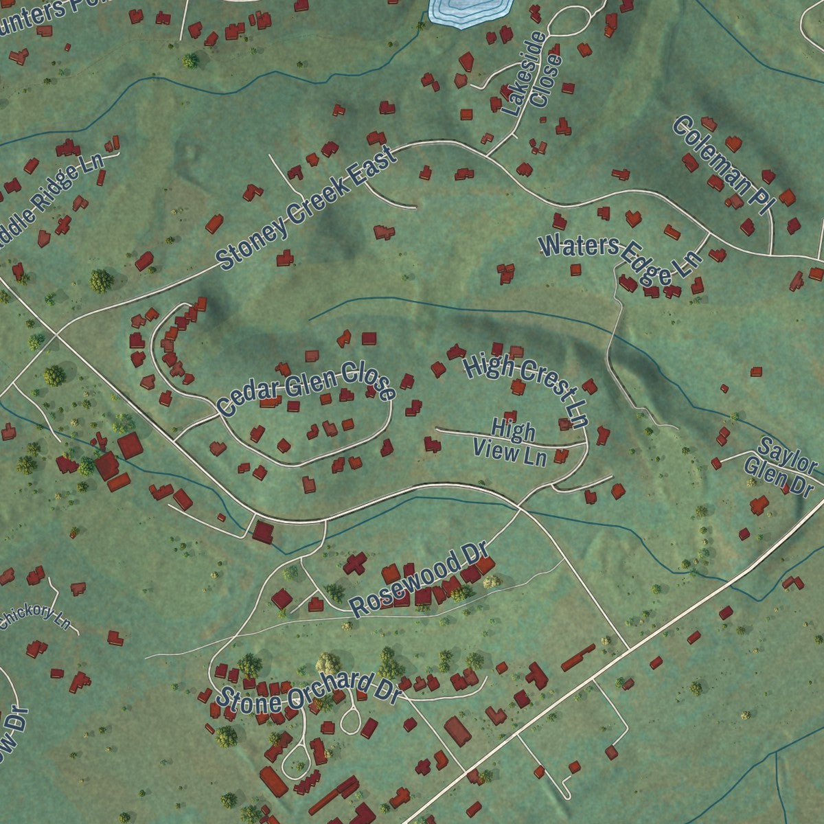 Close-up of the map of Nellysford, Virginia print showing street and building detail