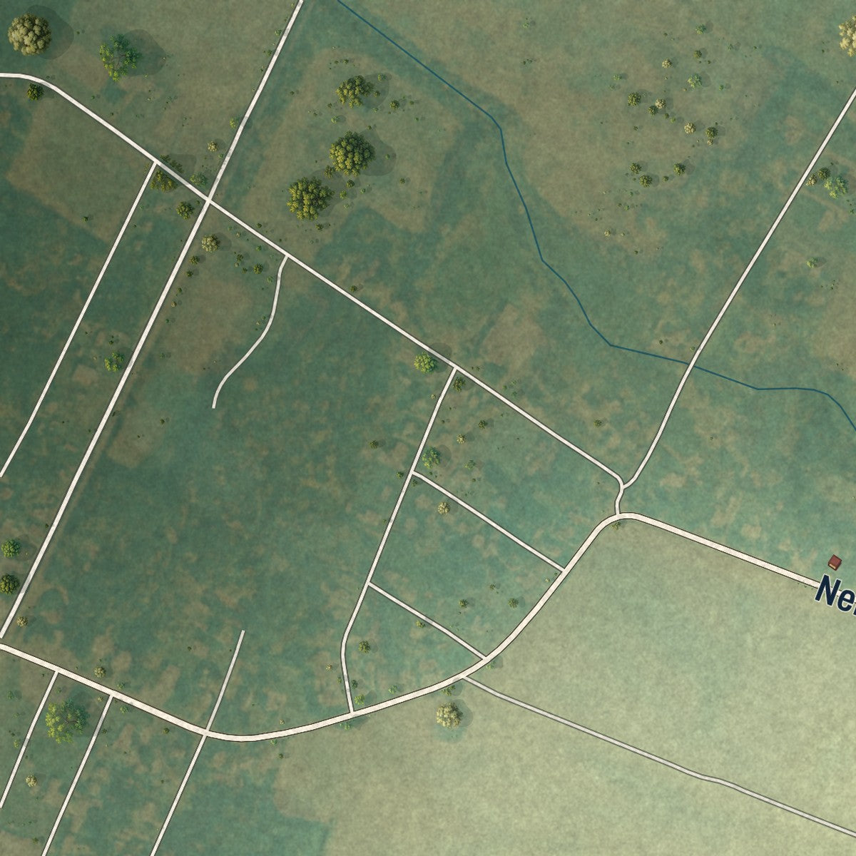 Close-up of the map of Nelsonia, Virginia print showing street and building detail