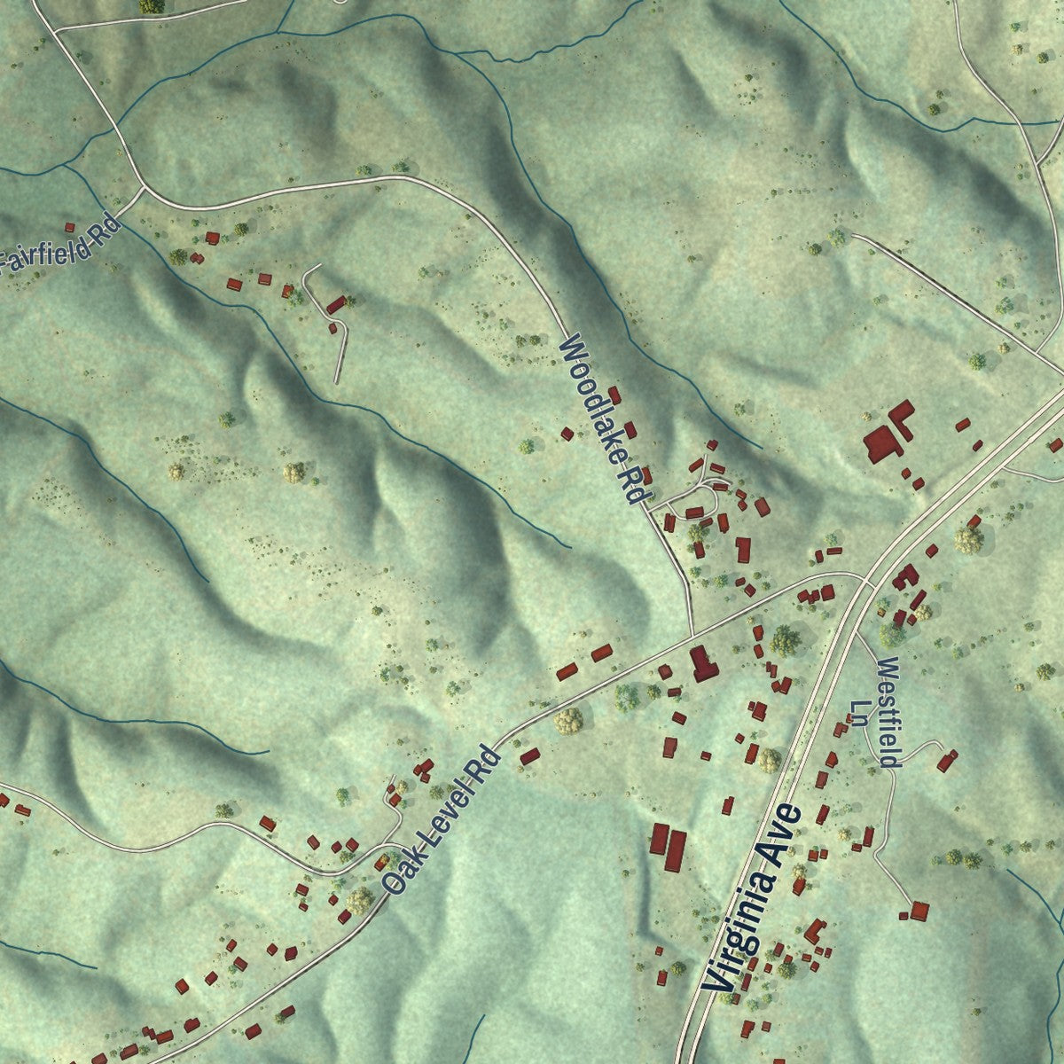 Close-up of the map of Oak Level, Virginia print showing street and building detail