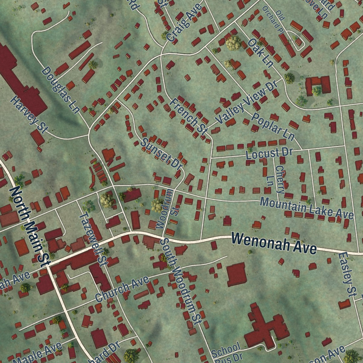 Close-up of the map of Pearisburg, Virginia print showing street and building detail