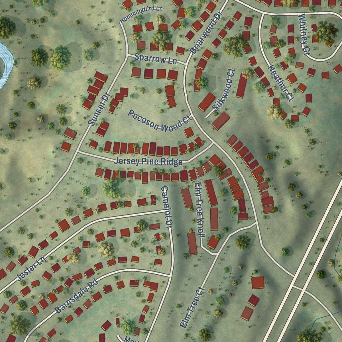 Close-up of the map of Piney Mountain, Virginia print showing street and building detail