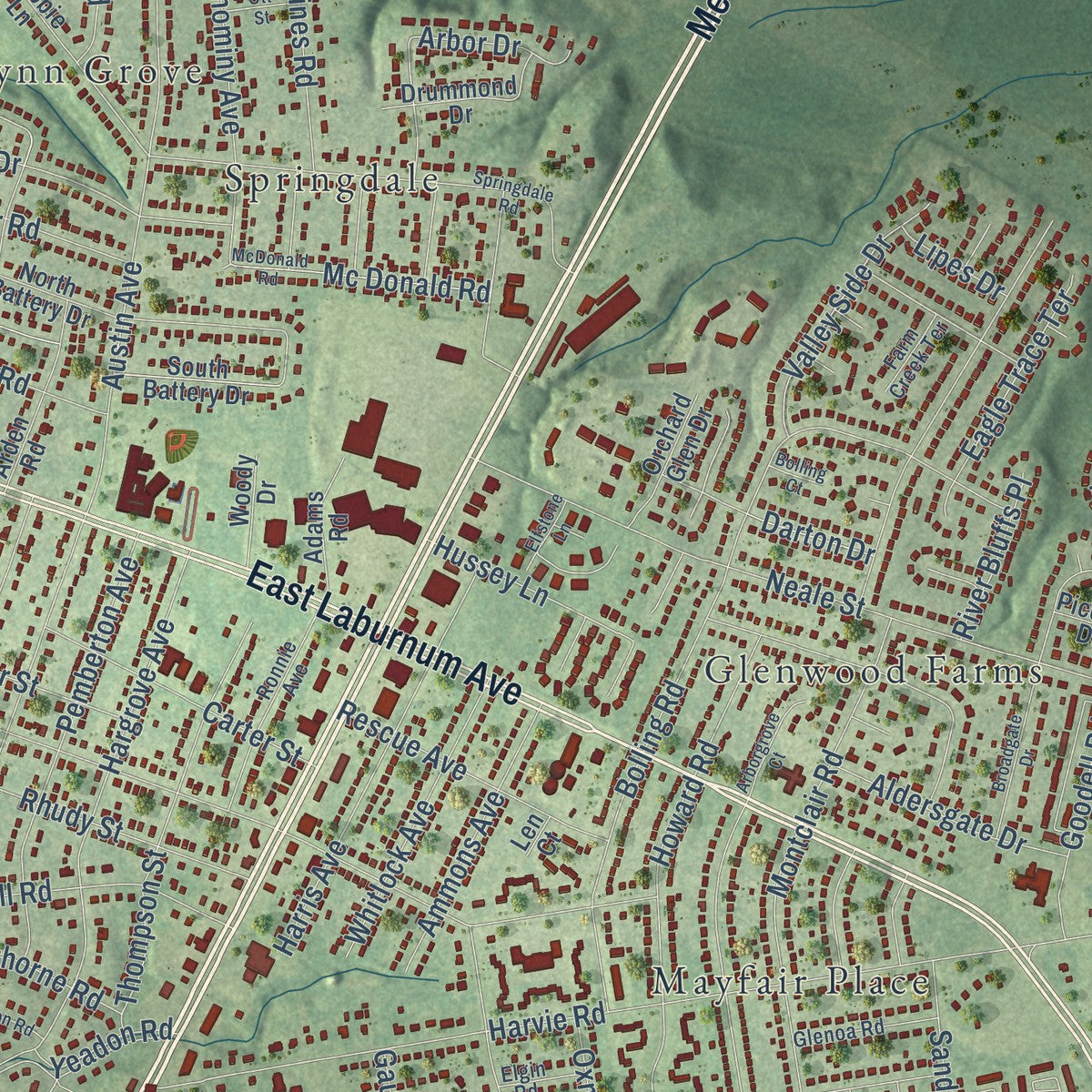Close-up of the map of East Highland Park, Virginia print showing street and building detail