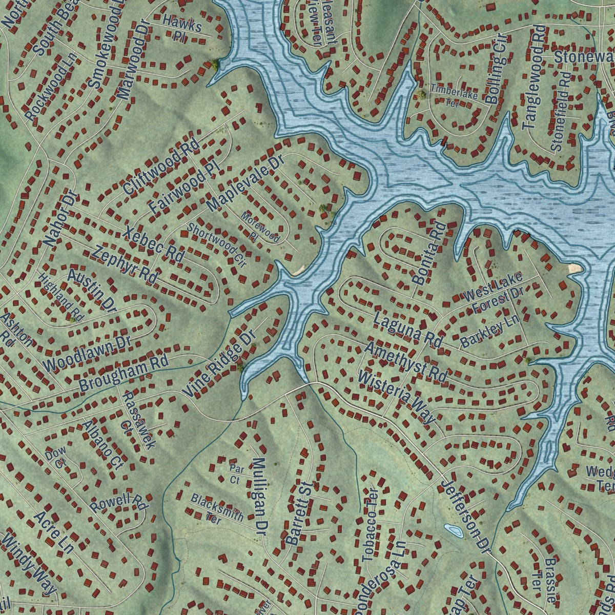 Close-up of the map of Lake Monticello, Virginia print showing street and building detail