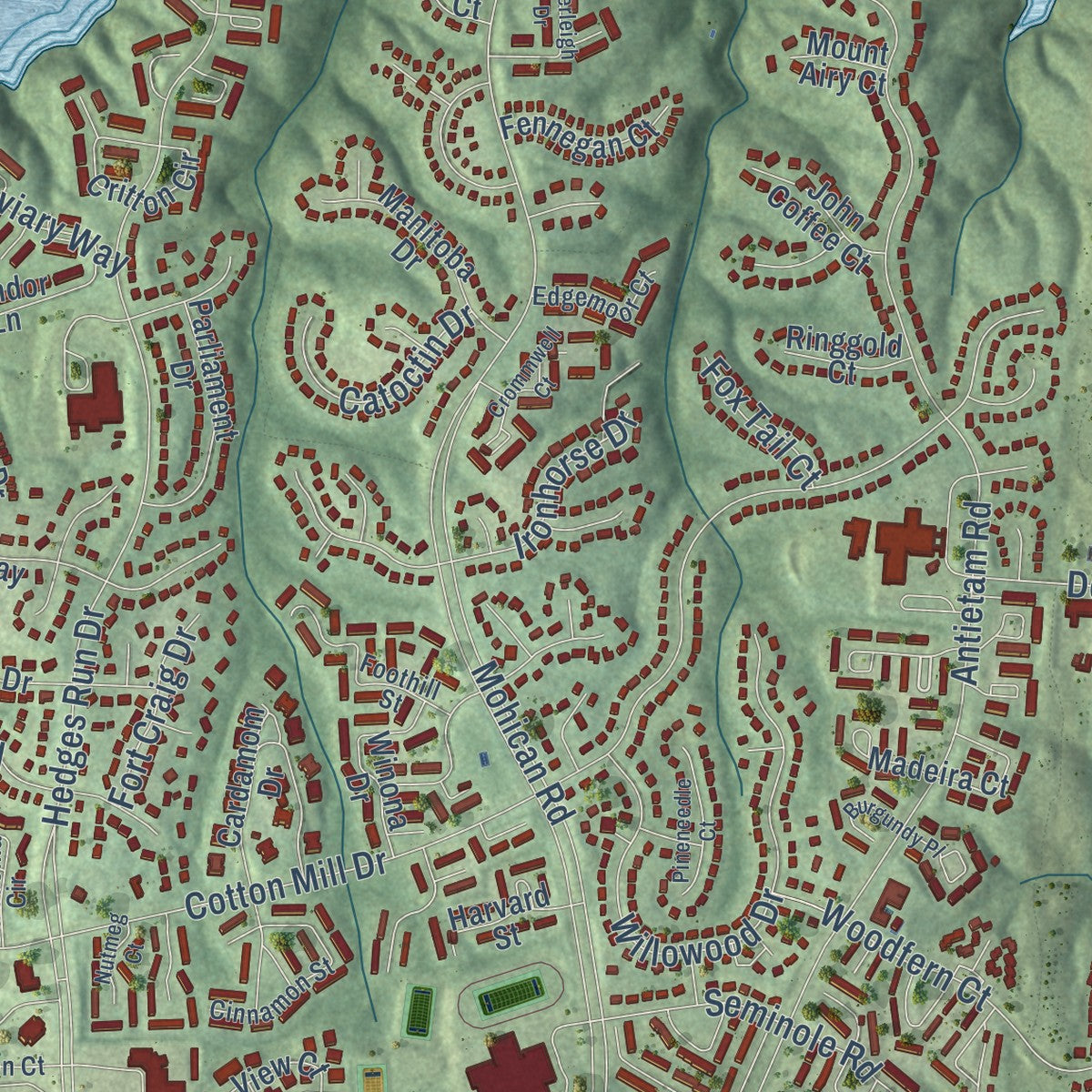 Second close-up of the map of Lake Ridge, Virginia print showing more streets and buildings