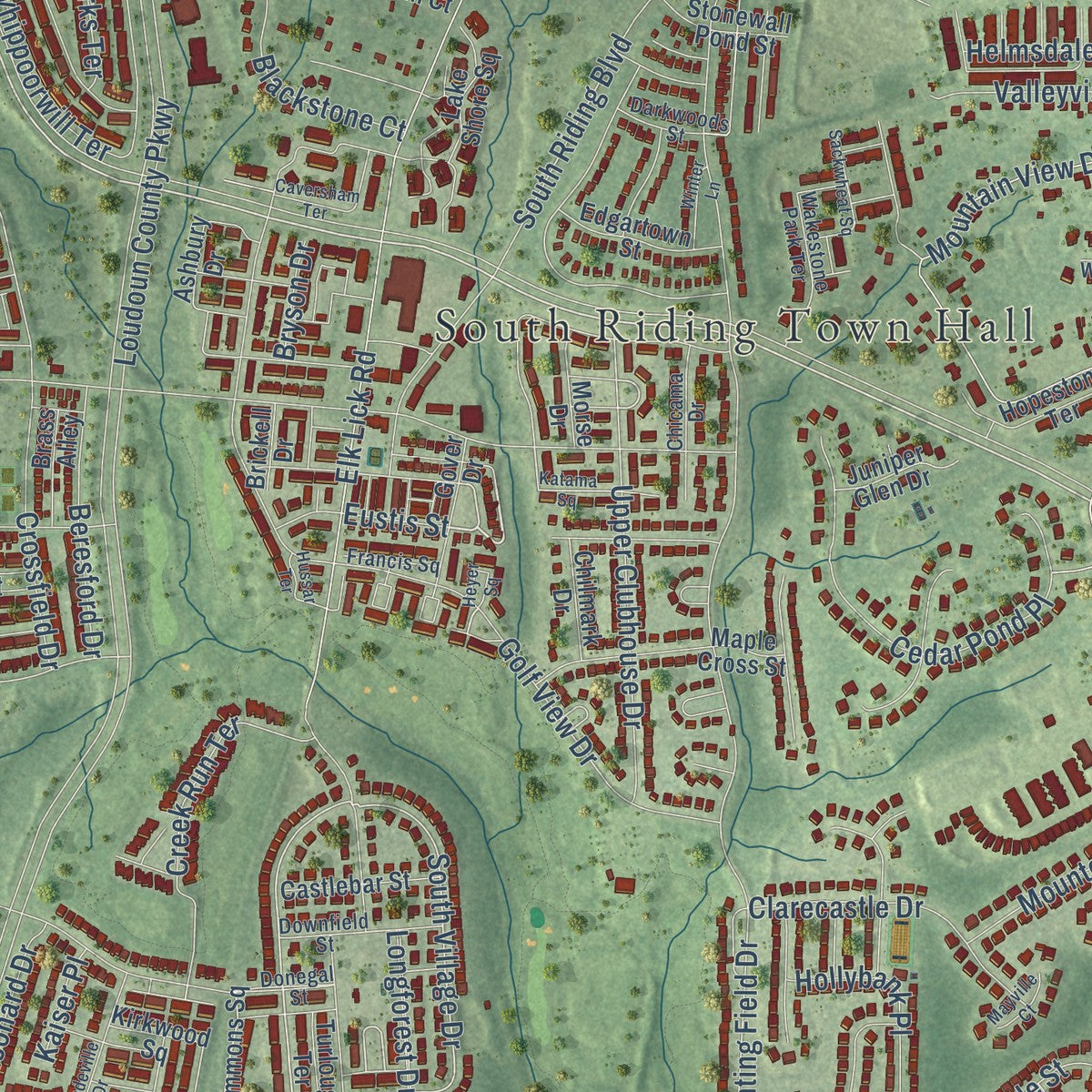Close-up of the map of South Riding, Virginia print showing street and building detail