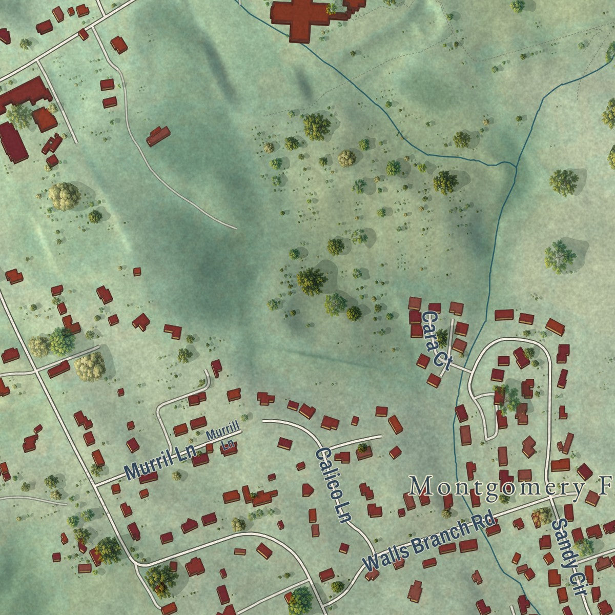 Close-up of the map of Prices Fork, Virginia print showing street and building detail