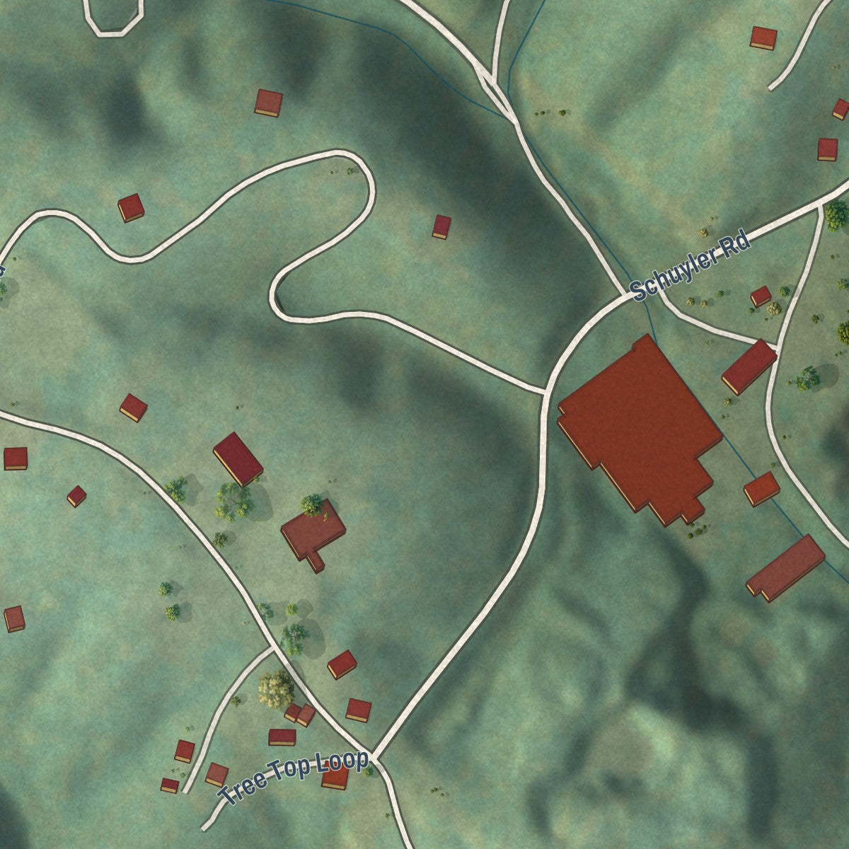 Close-up of the map of Schuyler, Virginia print showing street and building detail