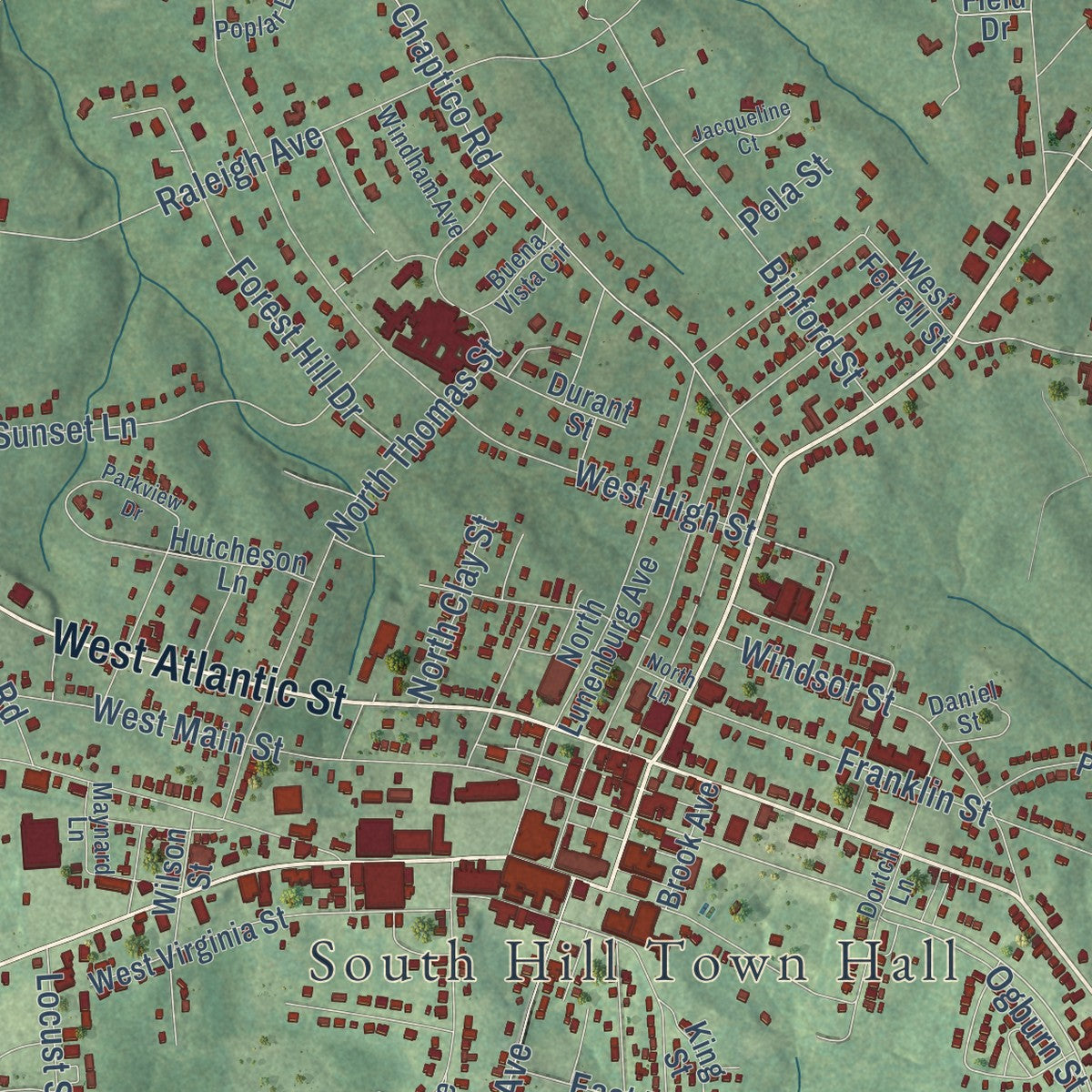 Close-up of the map of South Hill, Virginia print showing street and building detail