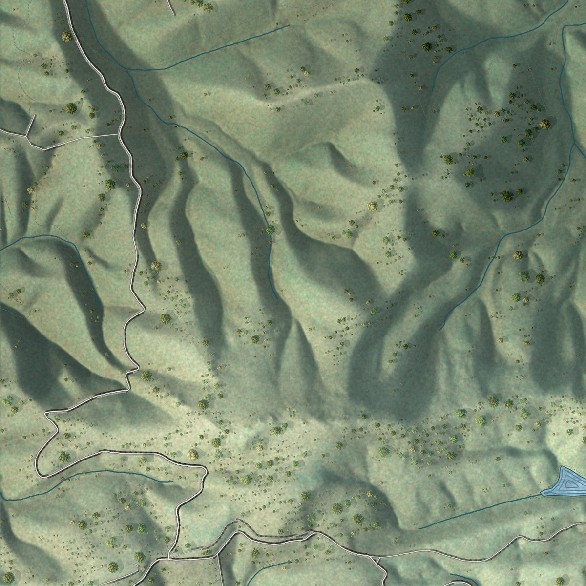 Close-up of the map of Speedwell, Virginia print showing street and building detail