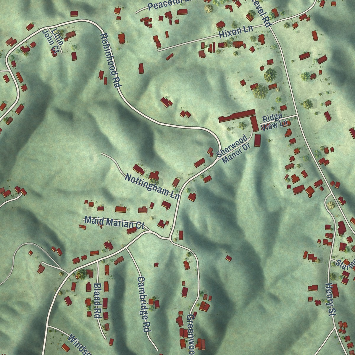 Close-up of the map of Stanleytown, Virginia print showing street and building detail