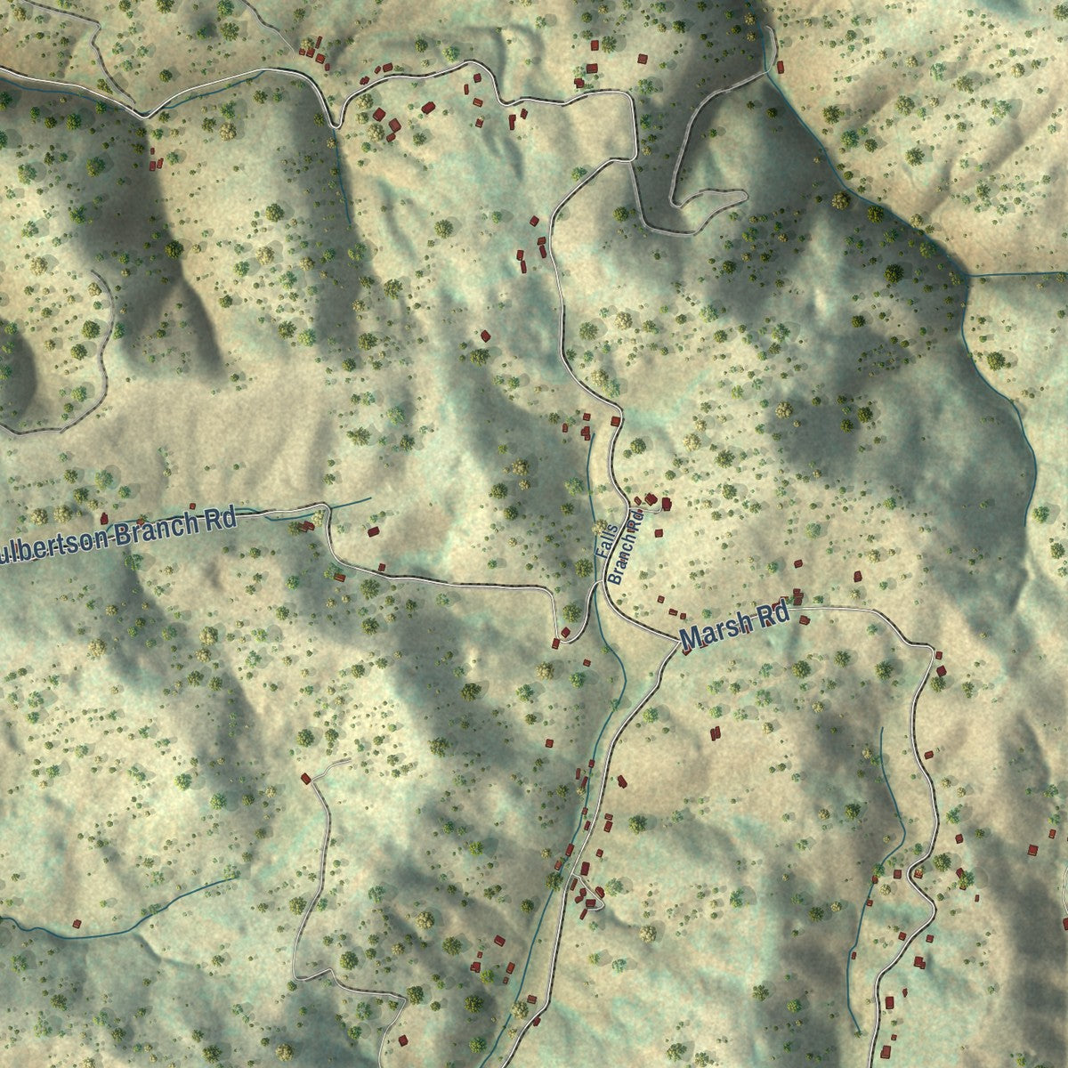 Close-up of the map of Twin Springs, Virginia print showing street and building detail