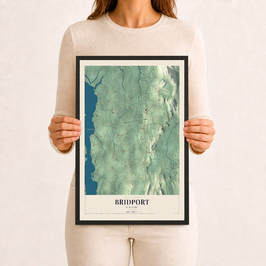 Map of Bridport, Vermont, 12 x 18 inch print in a black wood frame