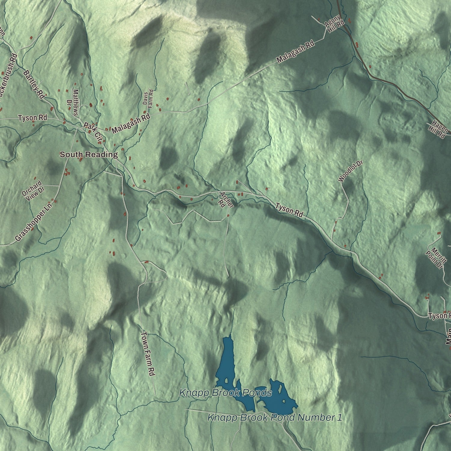 Terrain and local geography detail from the Reading, Vermont map