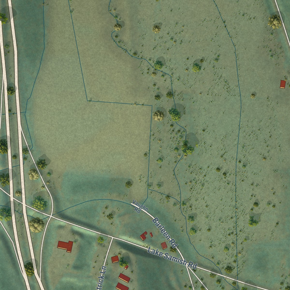 Close-up of the map of Alger, Washington print showing street and building detail