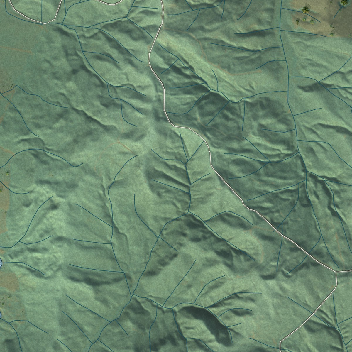 Close-up of the map of Boistfort, Washington print showing street and building detail