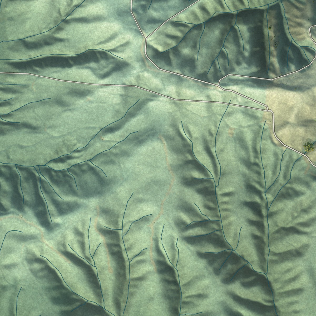 Close-up of the map of Brady, Washington print showing street and building detail
