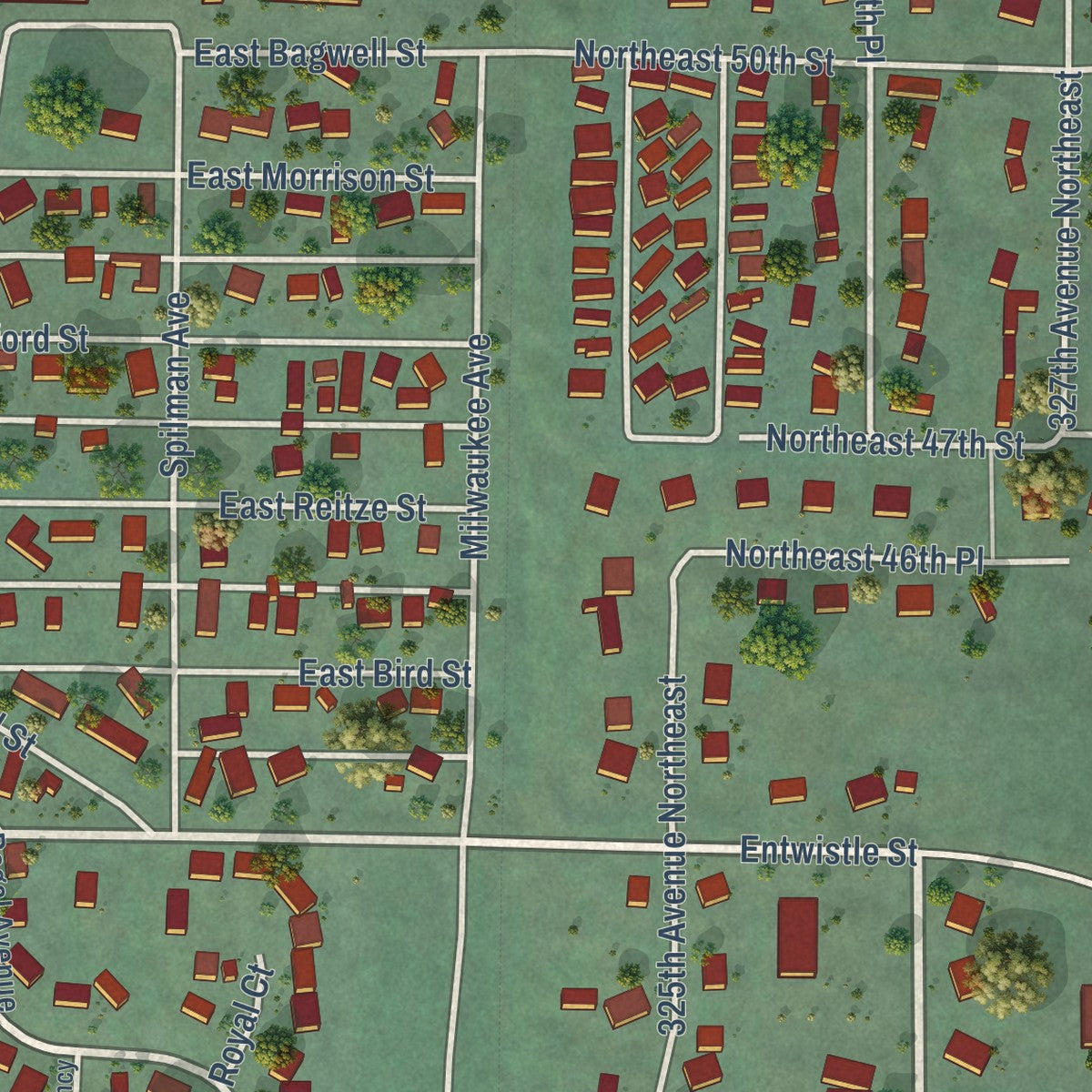 Close-up of the map of Carnation, Washington print showing street and building detail