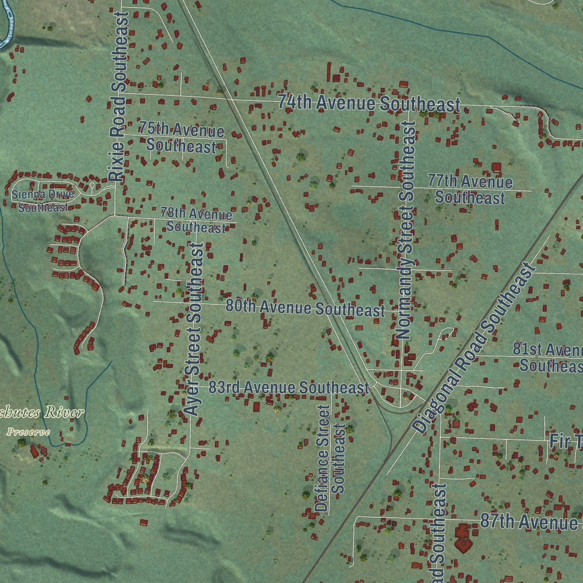 Close-up of the map of East Olympia, Washington print showing street and building detail