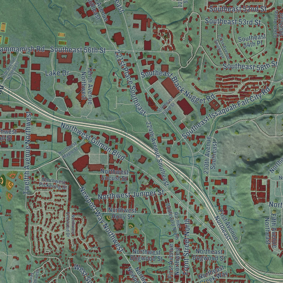 Close-up of the map of Issaquah, Washington print showing street and building detail