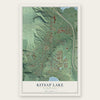 Kitsap Lake, Washington map print, the full design