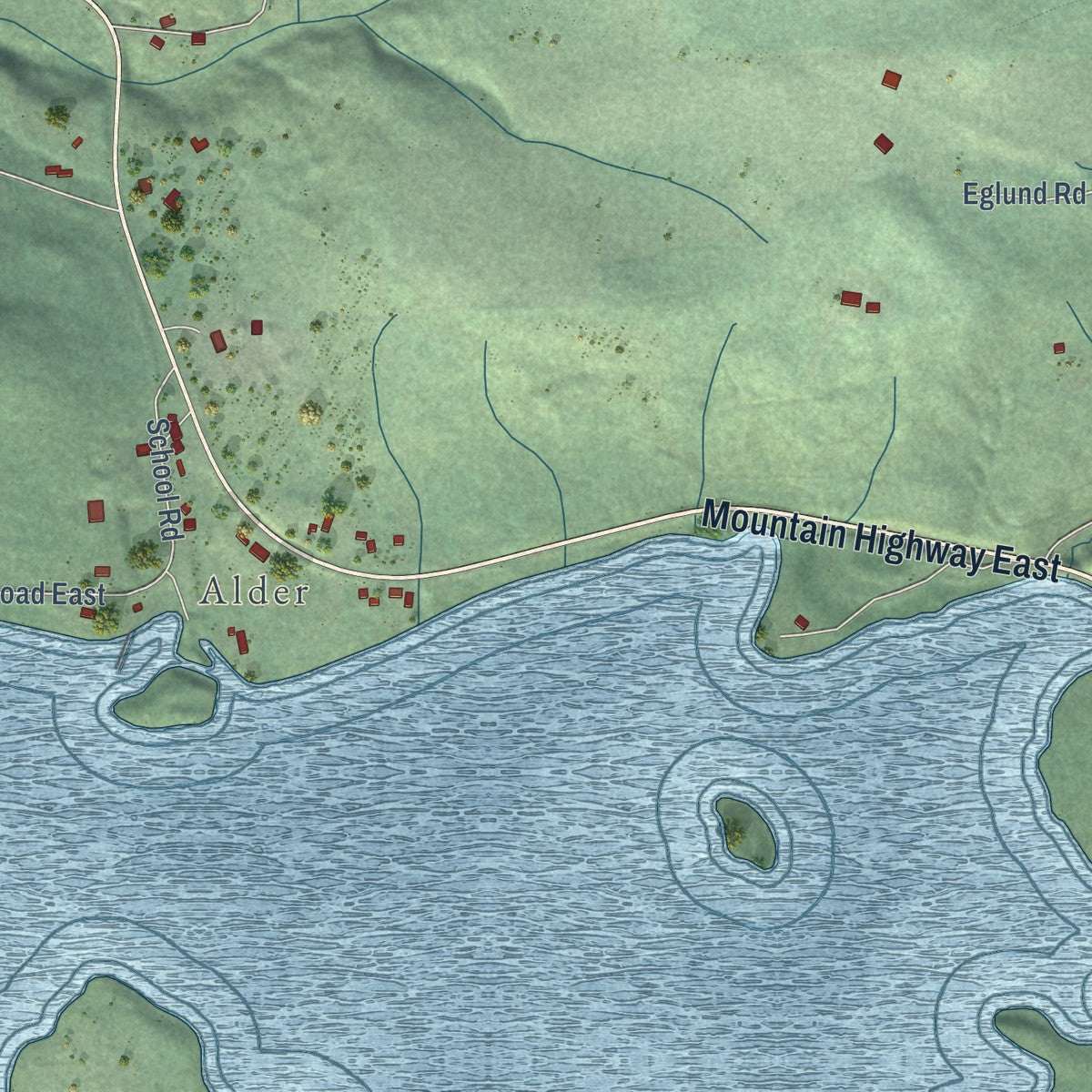 Close-up of the map of La Grande, Washington print showing street and building detail