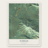 Naselle, Washington map print, the full design