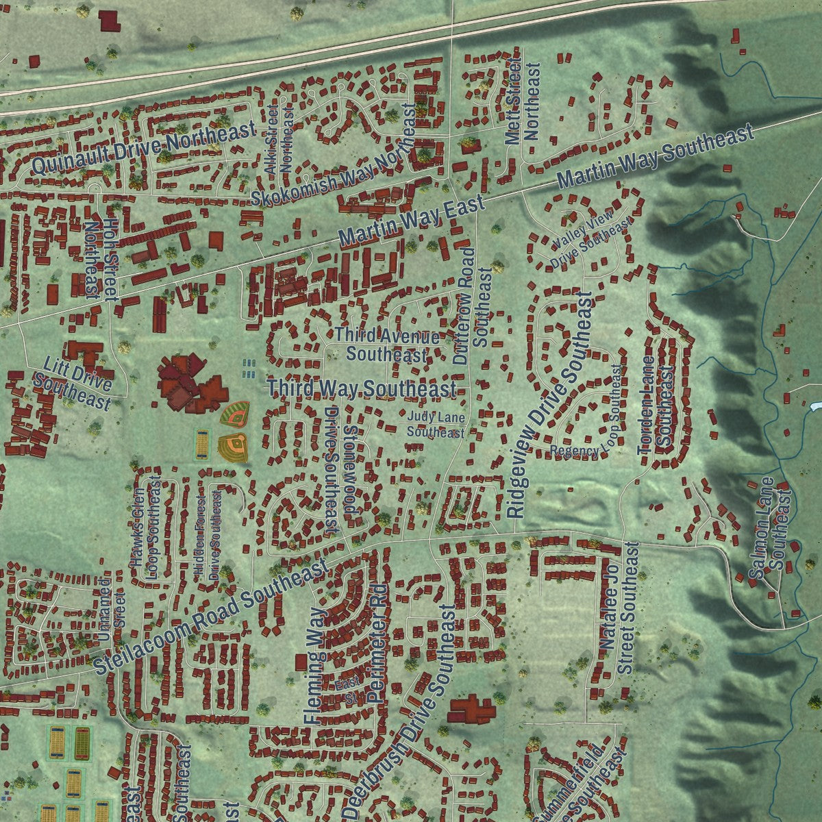 Close-up of the map of Nisqually, Washington print showing street and building detail