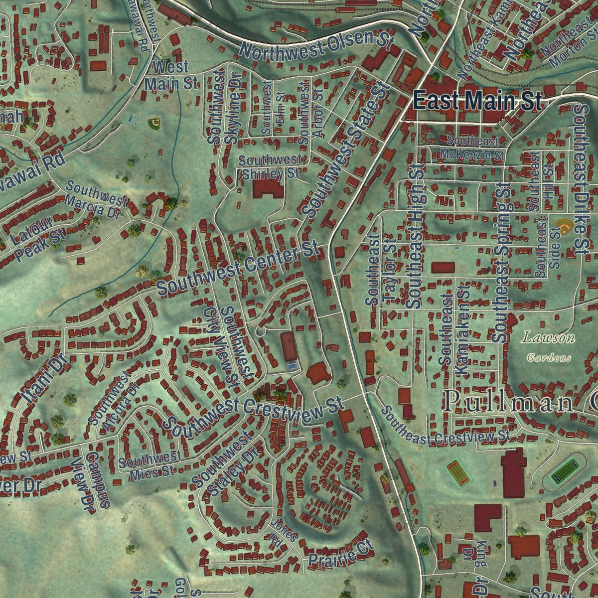 Close-up of the map of Pullman, Washington print showing street and building detail
