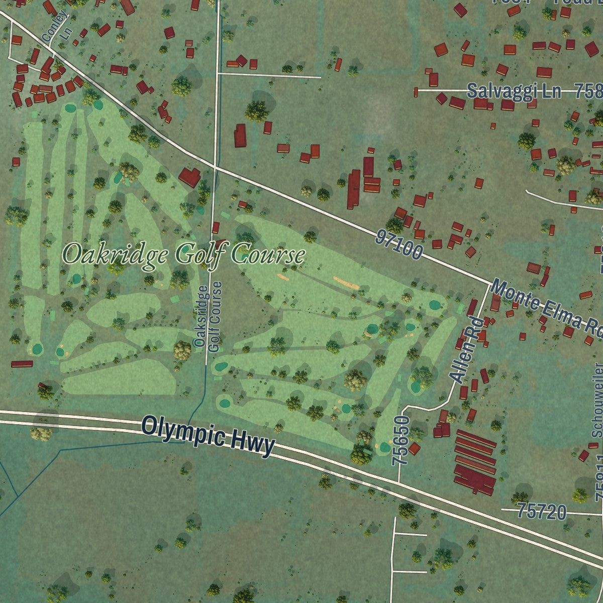 Close-up of the map of Satsop, Washington print showing street and building detail
