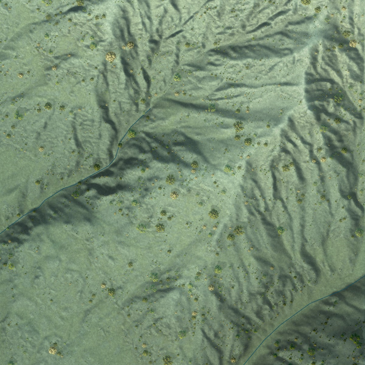 Close-up of the map of Stehekin, Washington print showing street and building detail