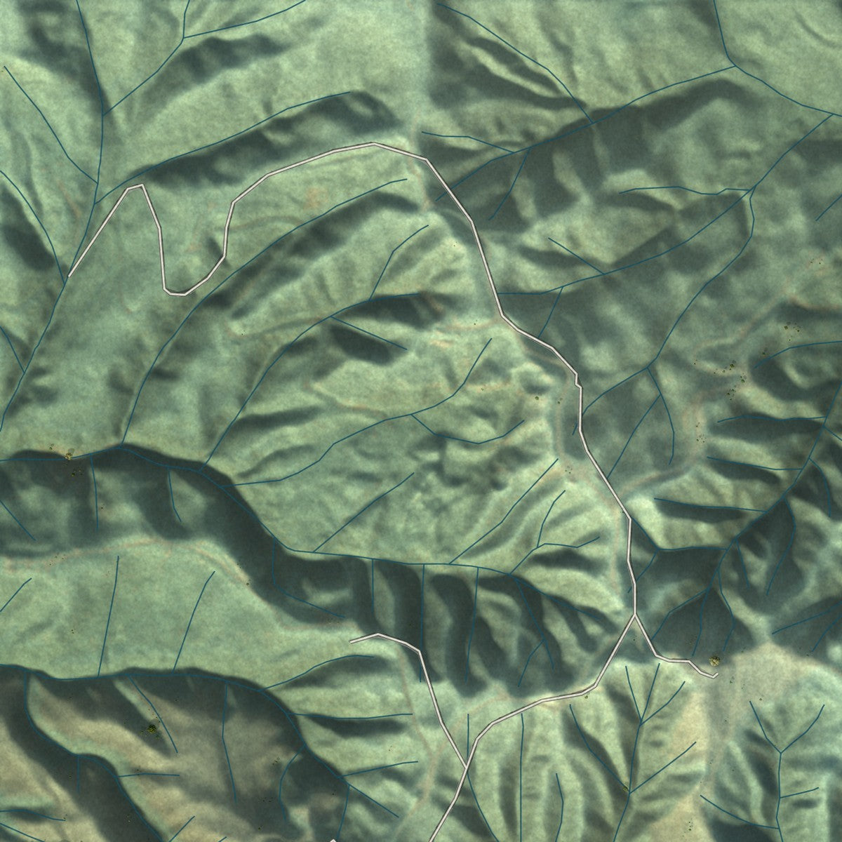 Close-up of the map of Upper Elochoman, Washington print showing street and building detail