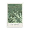 Map of the Town of Bangor, Wisconsin, 12 x 18 inch unframed archival matte print