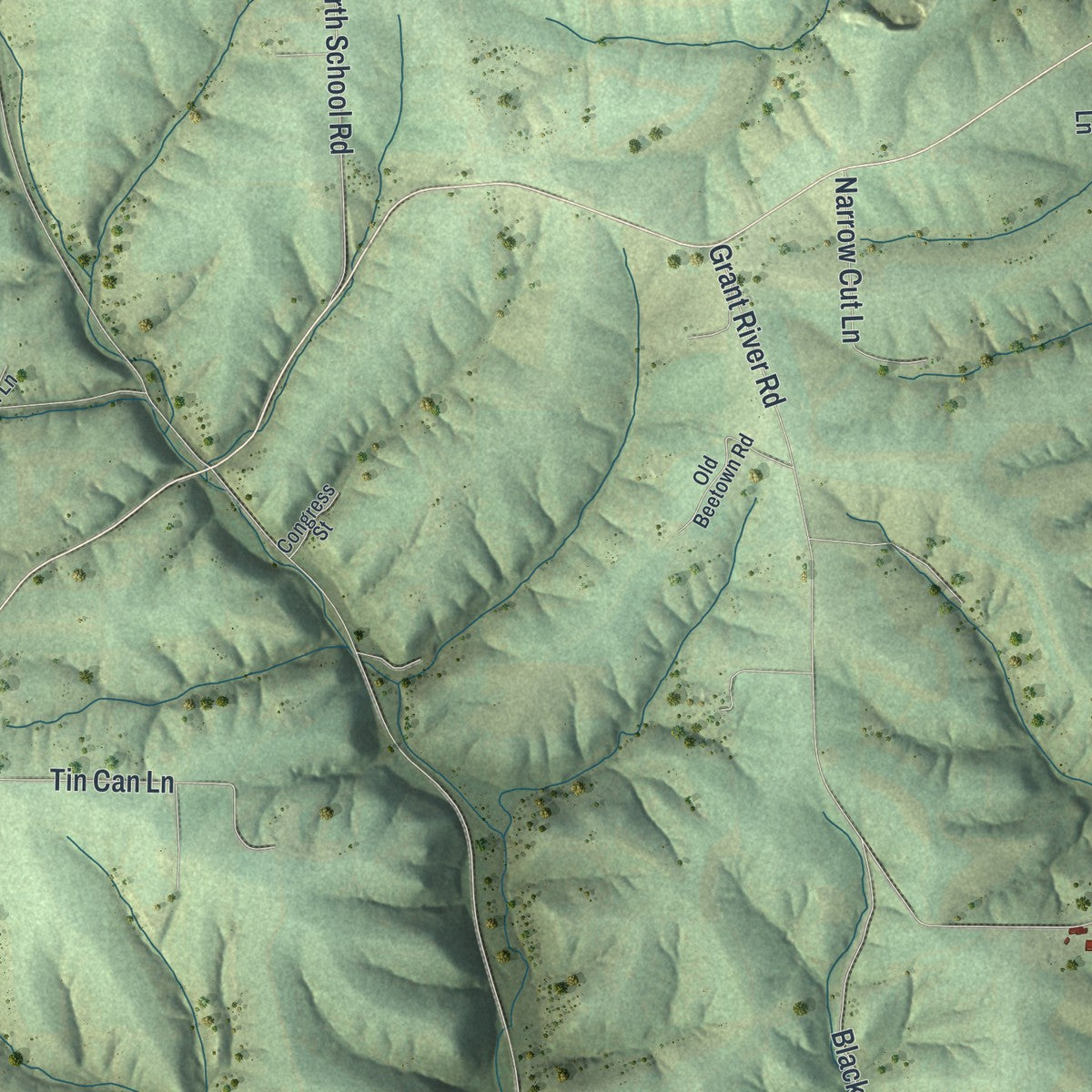 Second close-up of the map of Beetown, Wisconsin print showing more streets and buildings