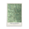 Map of the Town of Belmont, Portage County, Wisconsin, 12 x 18 inch unframed archival matte print
