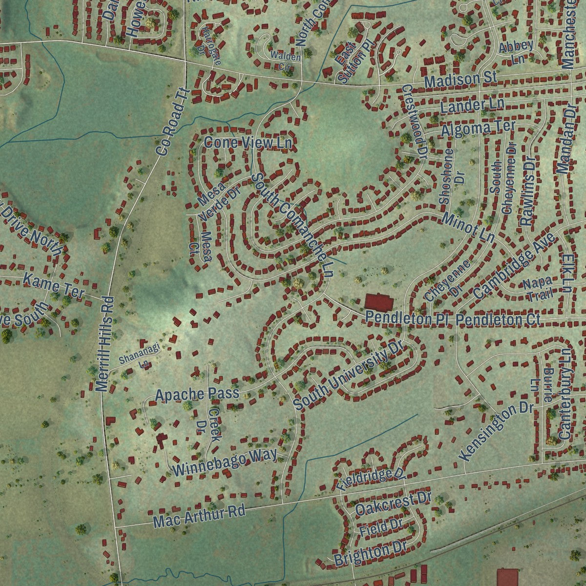 Close-up of the map of Bethesda, Wisconsin print showing street and building detail