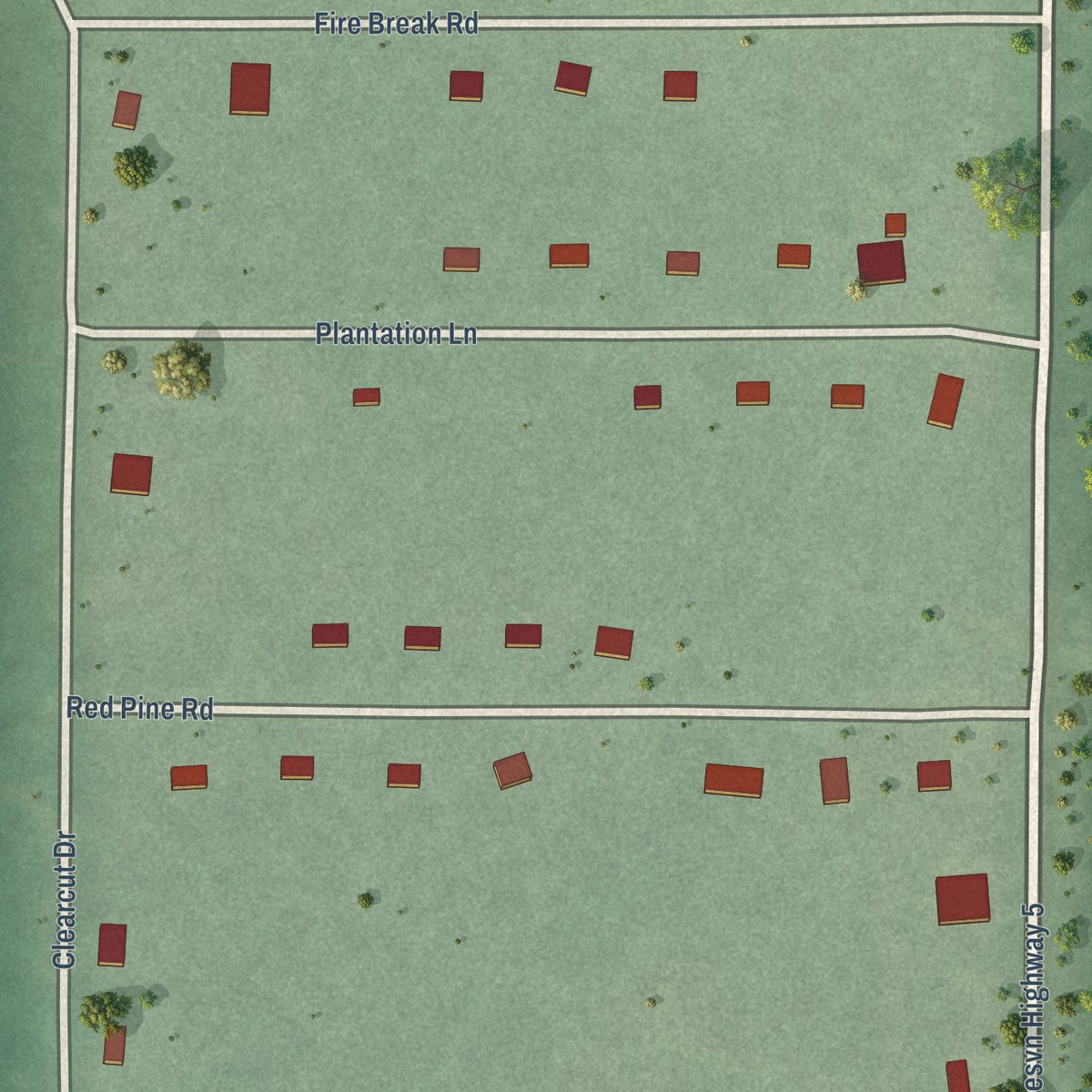 Close-up of the map of Birch Hill, Wisconsin print showing street and building detail