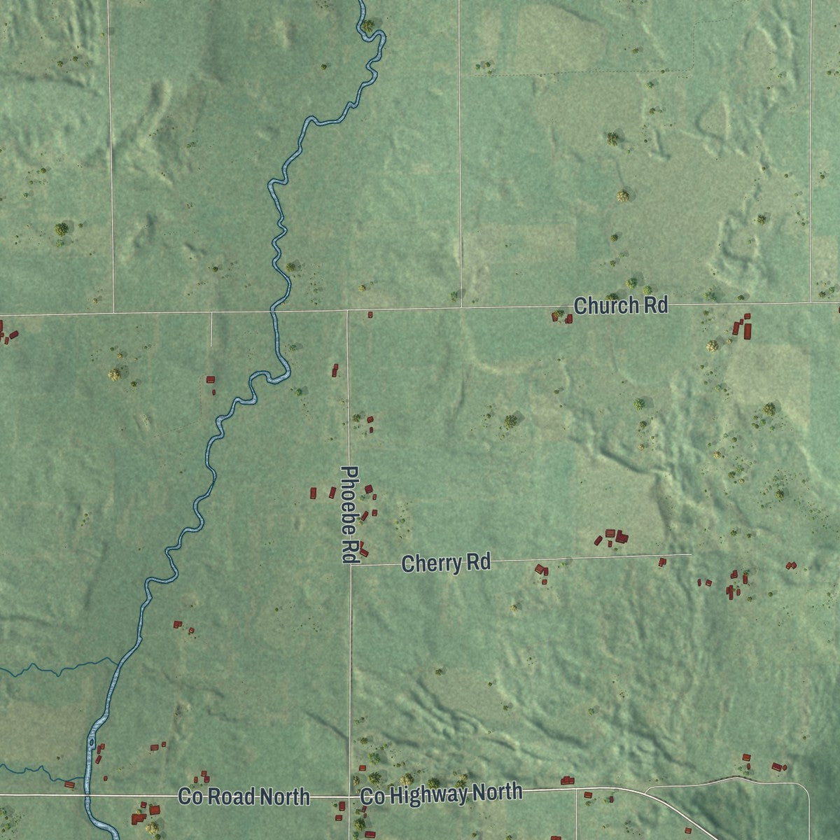 Close-up of the map of the Town of Birnamwood, Wisconsin print showing street and building detail