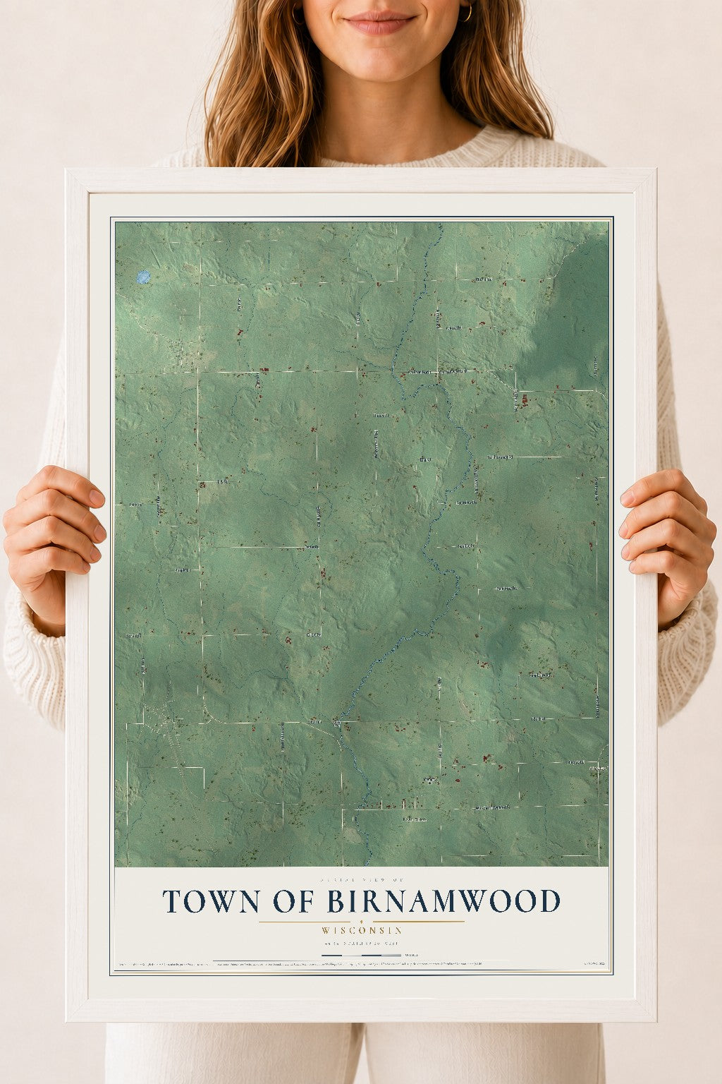 Map of the Town of Birnamwood, Wisconsin, 18 x 24 inch print in a white wood frame