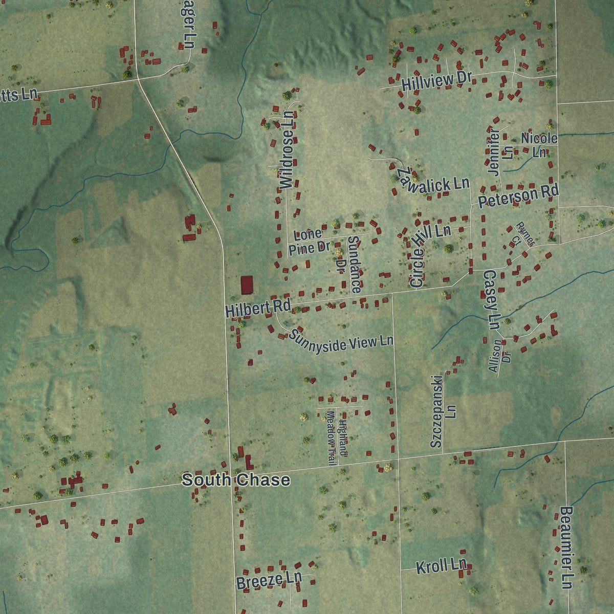 Close-up of the map of Chase, Wisconsin print showing street and building detail