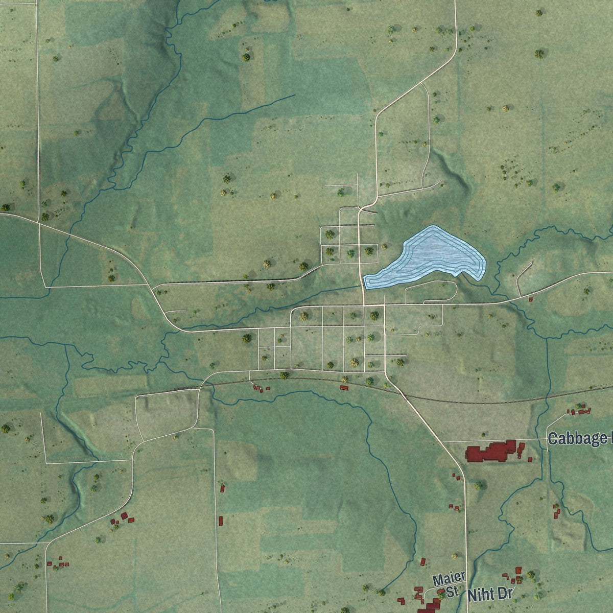 Close-up of the map of Courtland, Wisconsin print showing street and building detail