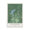 Map of the Town of Crandon, Wisconsin, 12 x 18 inch unframed archival matte print