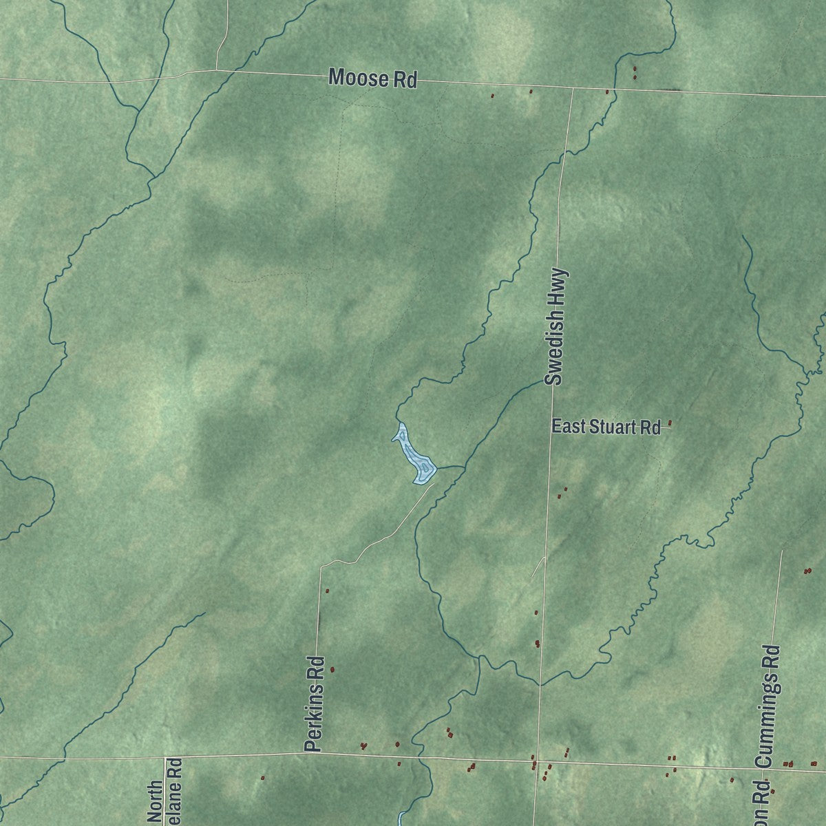 Close-up of the map of Dairyland, Wisconsin print showing street and building detail