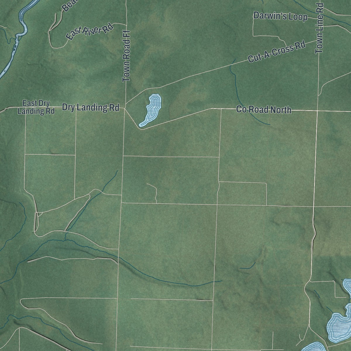 Second close-up of the map of Dairyland, Wisconsin print showing more streets and buildings