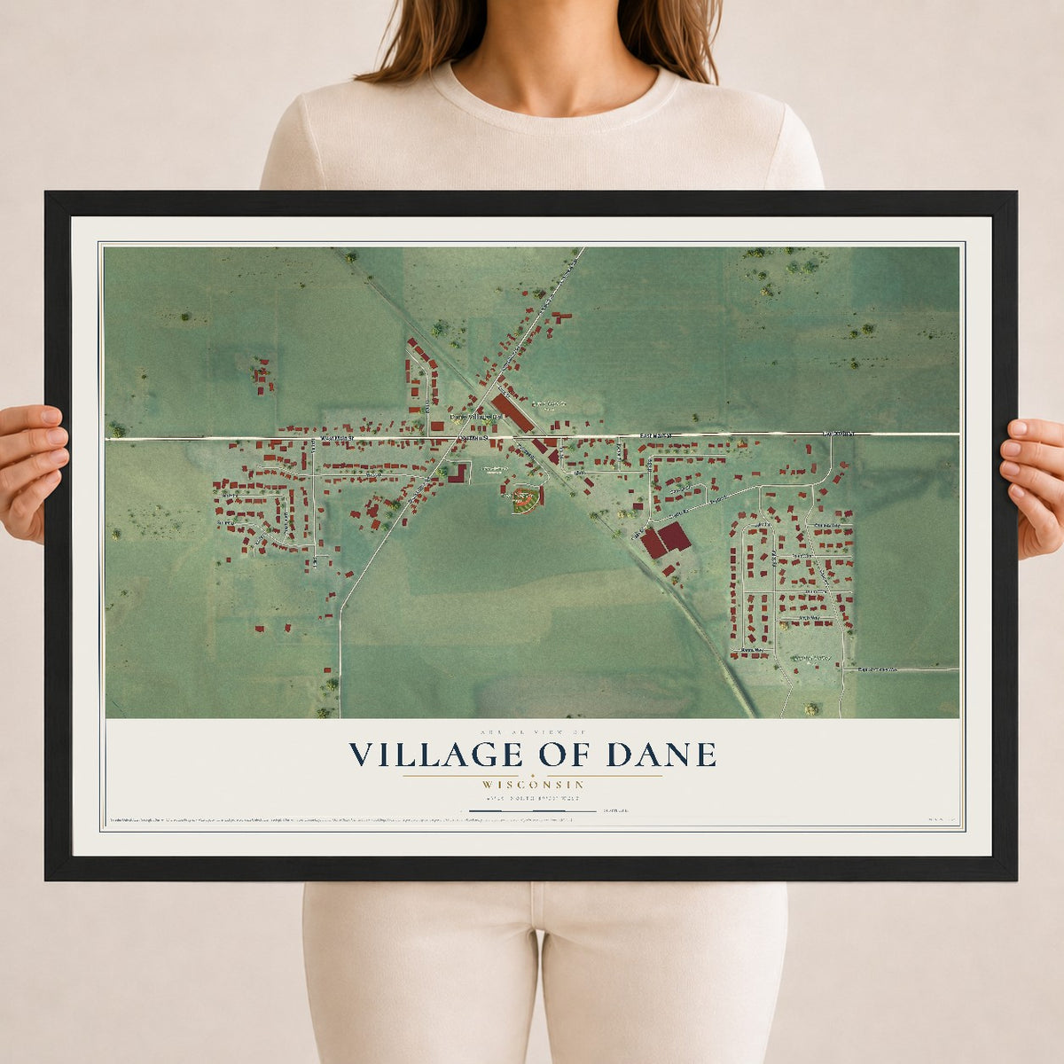Map of Dane, Wisconsin, 18 x 24 inch print in a black wood frame