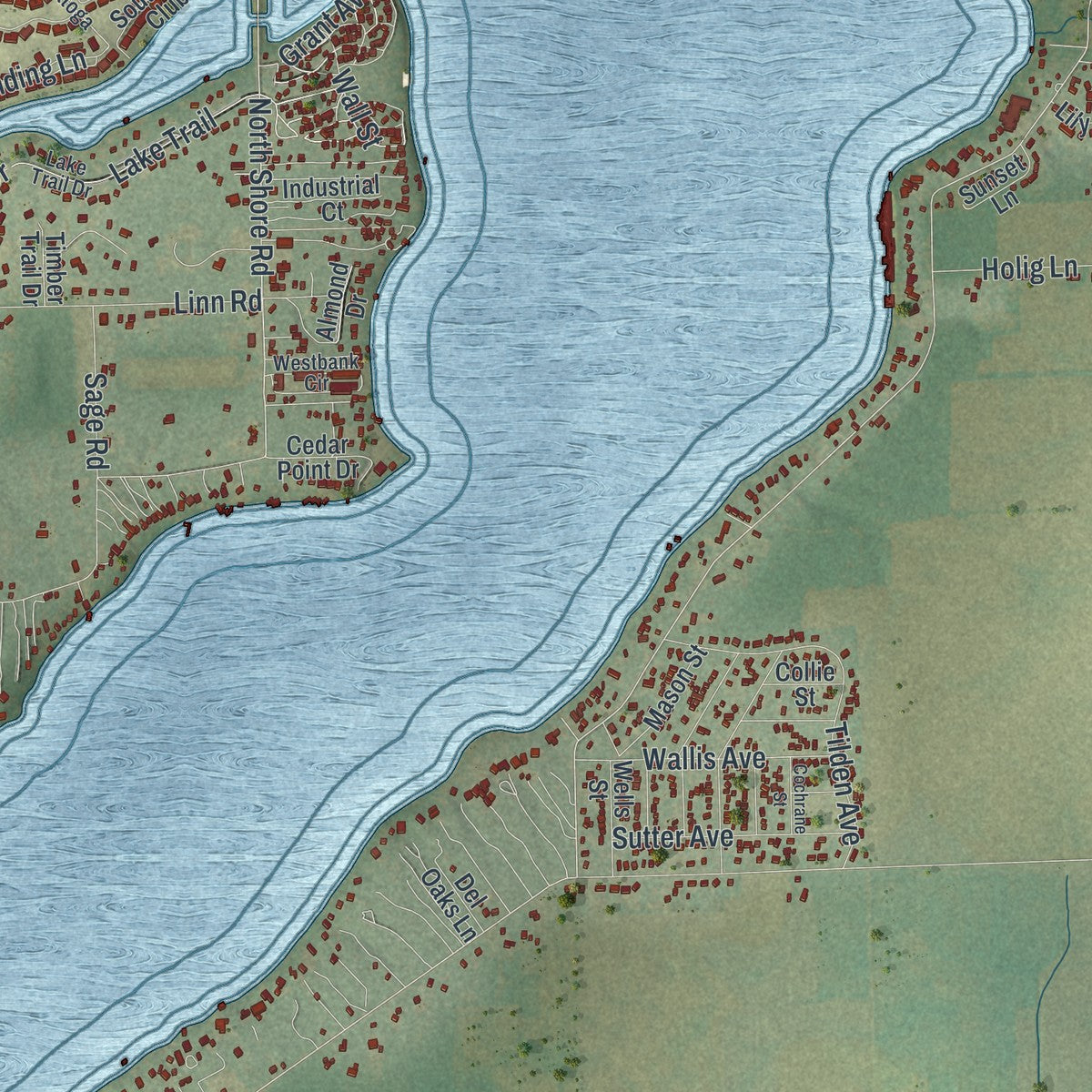 Close-up of the map of the Town of Delavan, Wisconsin print showing street and building detail