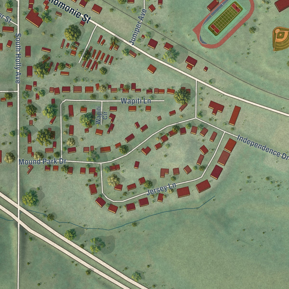 Close-up of the map of Elk Mound, Wisconsin print showing street and building detail