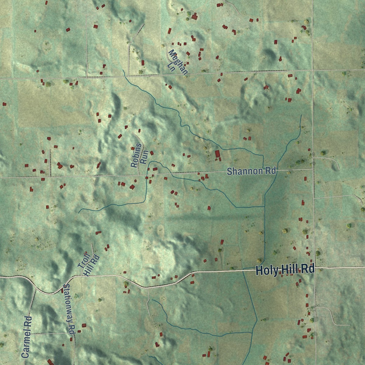 Close-up of the map of Erin, Wisconsin print showing street and building detail