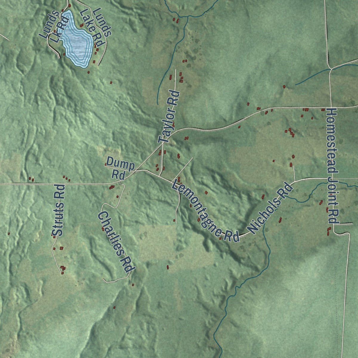 Close-up of the map of Fence, Wisconsin print showing street and building detail
