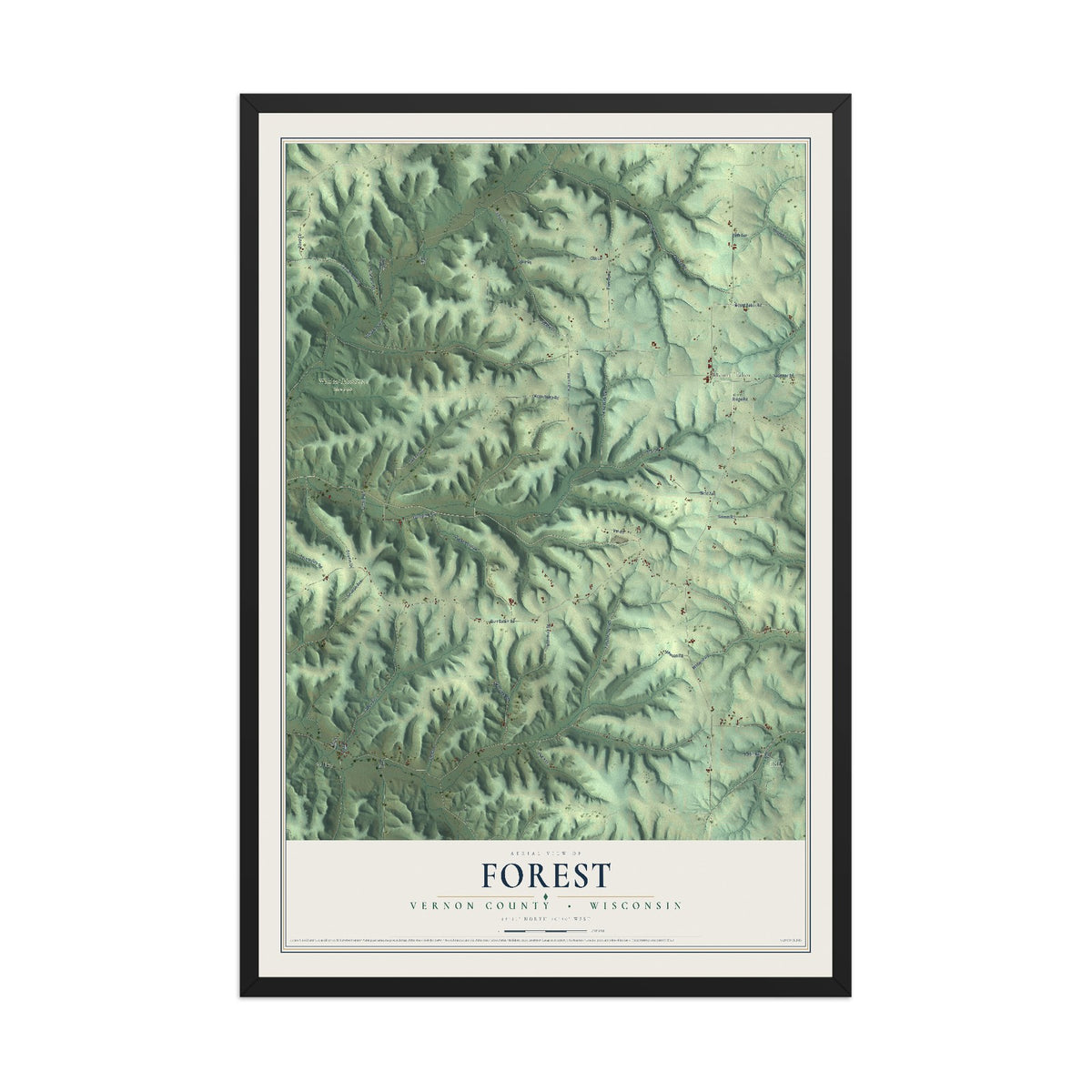 Map of Forest, Vernon County, Wisconsin, 12 x 18 inch print in a black wood frame