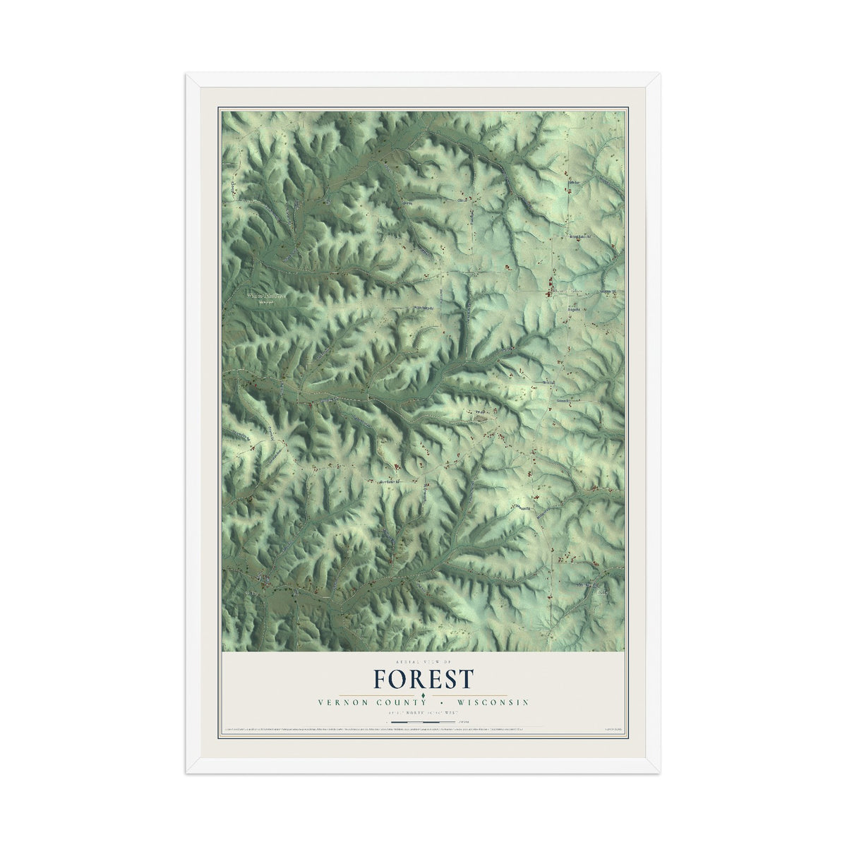 Map of Forest, Vernon County, Wisconsin, 12 x 18 inch print in a white wood frame
